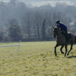Hoof Dreams (feature doc)